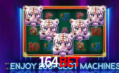 164bet Belo Horizonte - Jackpots