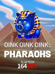 Welcome Bonus 164bet